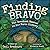 Finding Bravo: The Greatest Rescue in Air Force History