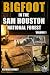Bigfoot in the Sam Houston National Forest by Patrick Kinney
