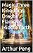 Magic Three Kingdoms: Drago...