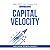 Capital Velocity by Nelson Fernandez