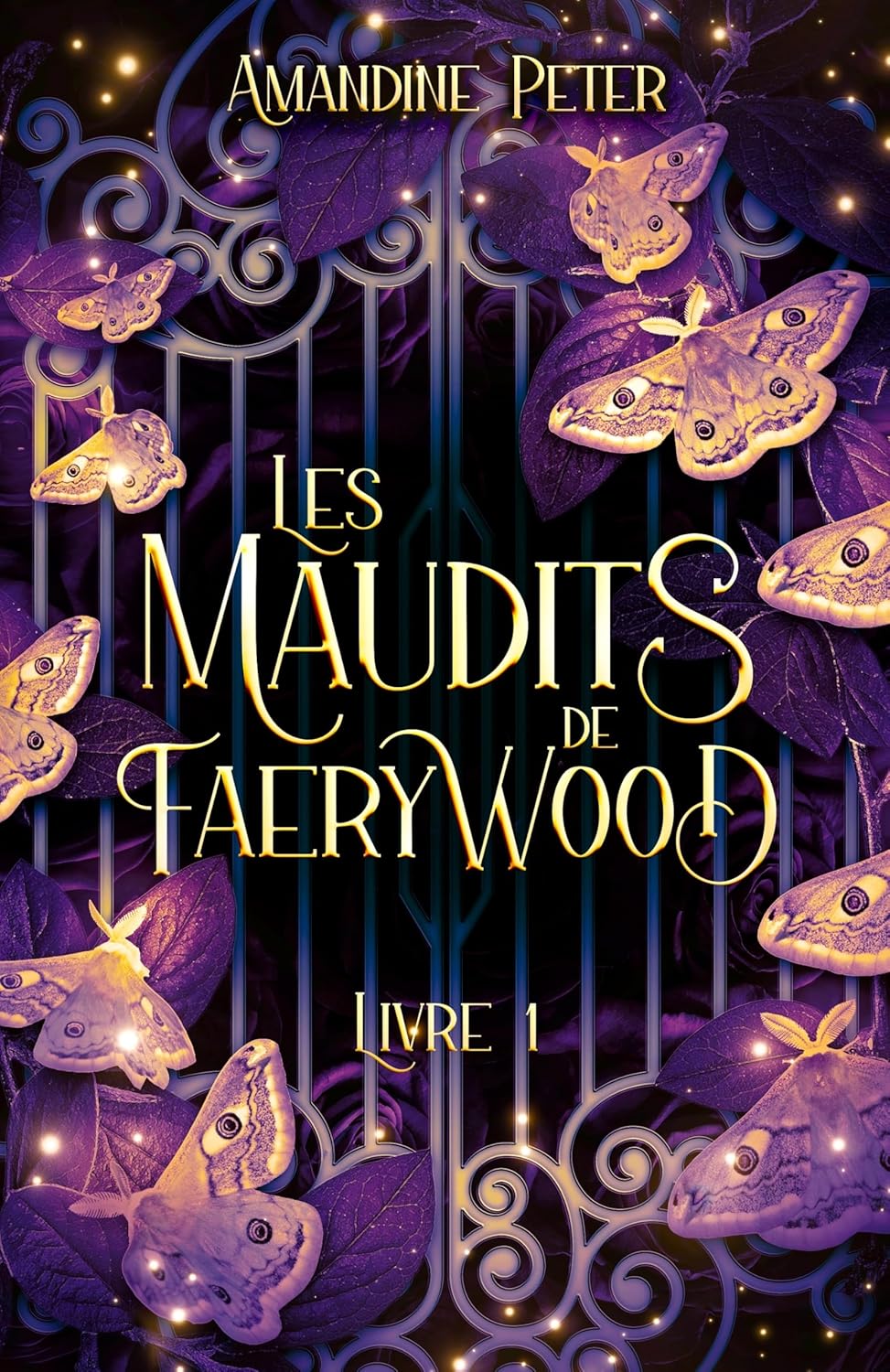 Les Maudits de Faerywood - Tome 1 (Les Maudits de Faerywood, #1) (Épreuve)