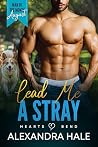 Book cover for Lead Me a Stray (Man of the Month Club)