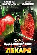 Идеальный мир для Лекаря 26