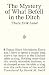 The Mystery of What Befell in the Ditch by Thure Erik Lund