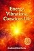 Energy, Vibration & Conscio...