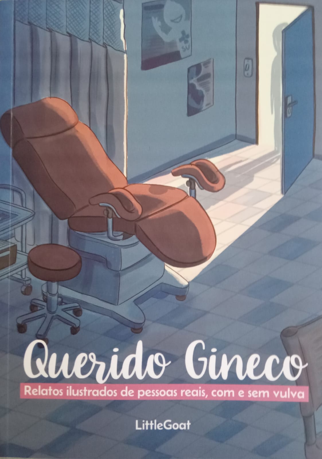 Querido Gineco: relatos ilustrados de pessoas reais, com e sem vulva. (Paperback)