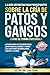 Guía Definitiva Para Principiantes Sobre la Cría de Patos y G... by Justin Time Publishing