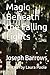 Magic Beneath the Falling Lights by Joseph Barrows