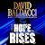 Hope Rises (Walter Nash, #2)