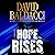Hope Rises (Walter Nash, #2)