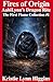 Fires of Origin: AabiLynn’s Dragon Rite The First Flame Collection #1