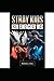 Stray Kids: Kein einfacher ...