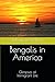 Bengalis in America by Debajyoti Chatterji