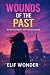 Wounds of The Past by Elif Wonder