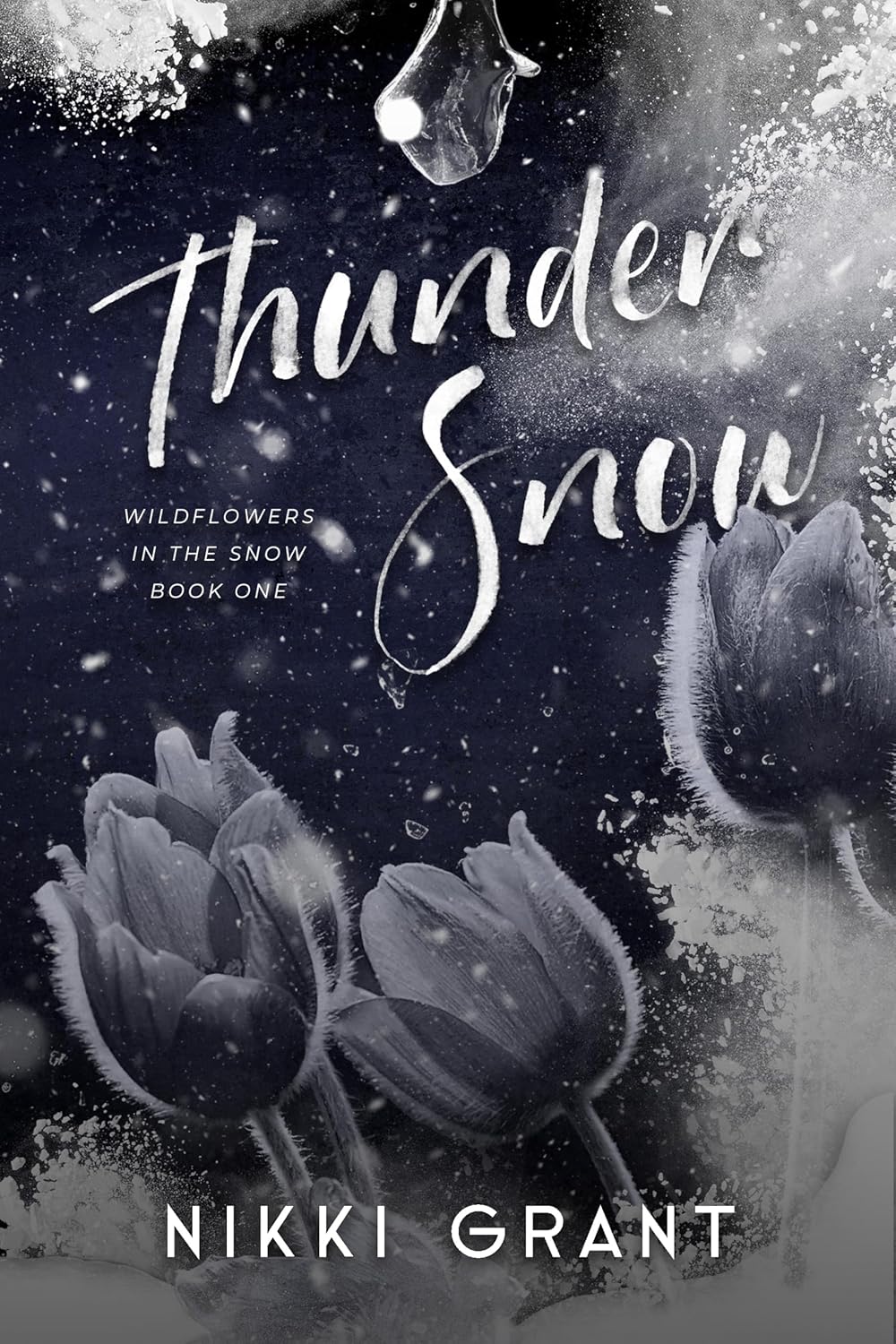 Thunder Snow (Wildflowers in the Snow #1)
