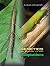 Genetics: The Science of Li...