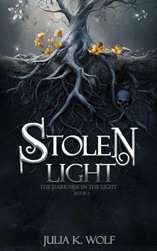 Stolen Light (The Darkness in the Light Book 1)