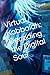 Virtual Kabbalah by Rod Rodriguez