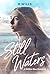 Still Waters by B Wills Still Waters by B Wills