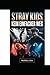 Stray Kids: Kein einfacher ...