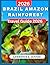Brazil Amazon Rainforest Travel Guide 2026 by Harriet Binsky