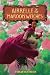 Airrelle of the Maroon Witches by Sumayyah Beck
