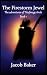 The Firestorm Jewel (The Ad...