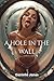 A Hole in the Wall