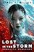 Lost in the Storm by James F. Miller