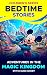 Adventures in the MAGIC KINGDOM Stitch and Mickey by Charlotte Aarons Adventures in the MAGIC KINGDOM Stitch and Mickey by Charlotte Aarons