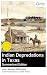 Indian Depredations in Texa...