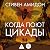 Когда поют цикады