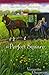 A Perfect Square (Shipshewana Amish Mystery, A)
