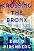 Crossing the Bronx