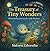The Treasury of Tiny Wonders by Maksym Zahorulko