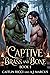 Captive: Dark Vampire Orc Romance (Brass and Bone Book 1)