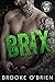 Brix (A Rebels Havoc, #1)