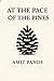 At the Pace of the Pines by Amit  Pande