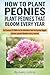 How to Plant Peonies: A Pra...