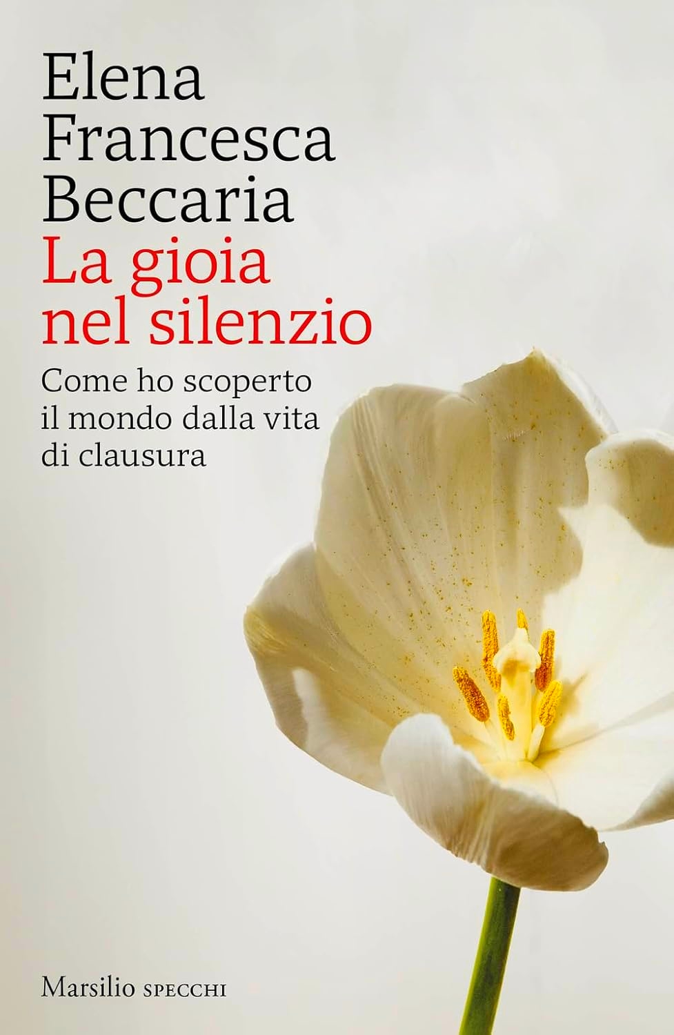 La gioia nel silenzio. Come ho scoperto il mondo della vita di clausura (Paperback)