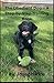 The Obedient Dog - A Step b...
