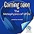 The Metaphysics of UFOs: Evidential Case Studies on UAPs, Paranormal Phenomena, and Spiritual Experiences