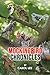 The Mockingbird Chronicles:...