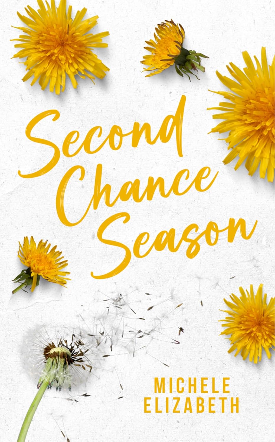 Second Chance Season (Seasons of Love #3)