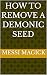 How to Remove a Demonic Seed by Messi Magick