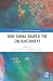 How China Shaped the Enligh...