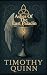 Ashes of the Last Paladin by Timothy     Quinn