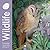 Bex Parkin: Wildlife Wall Calendar 2027 (Art Calendar)