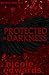 Protected in Darkness (Misplaced Halos Book 1)