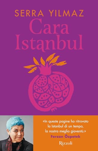 Cara Istanbul (Kindle Edition)